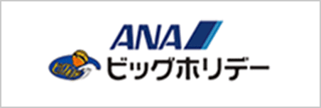 ANA ビッグホリデー